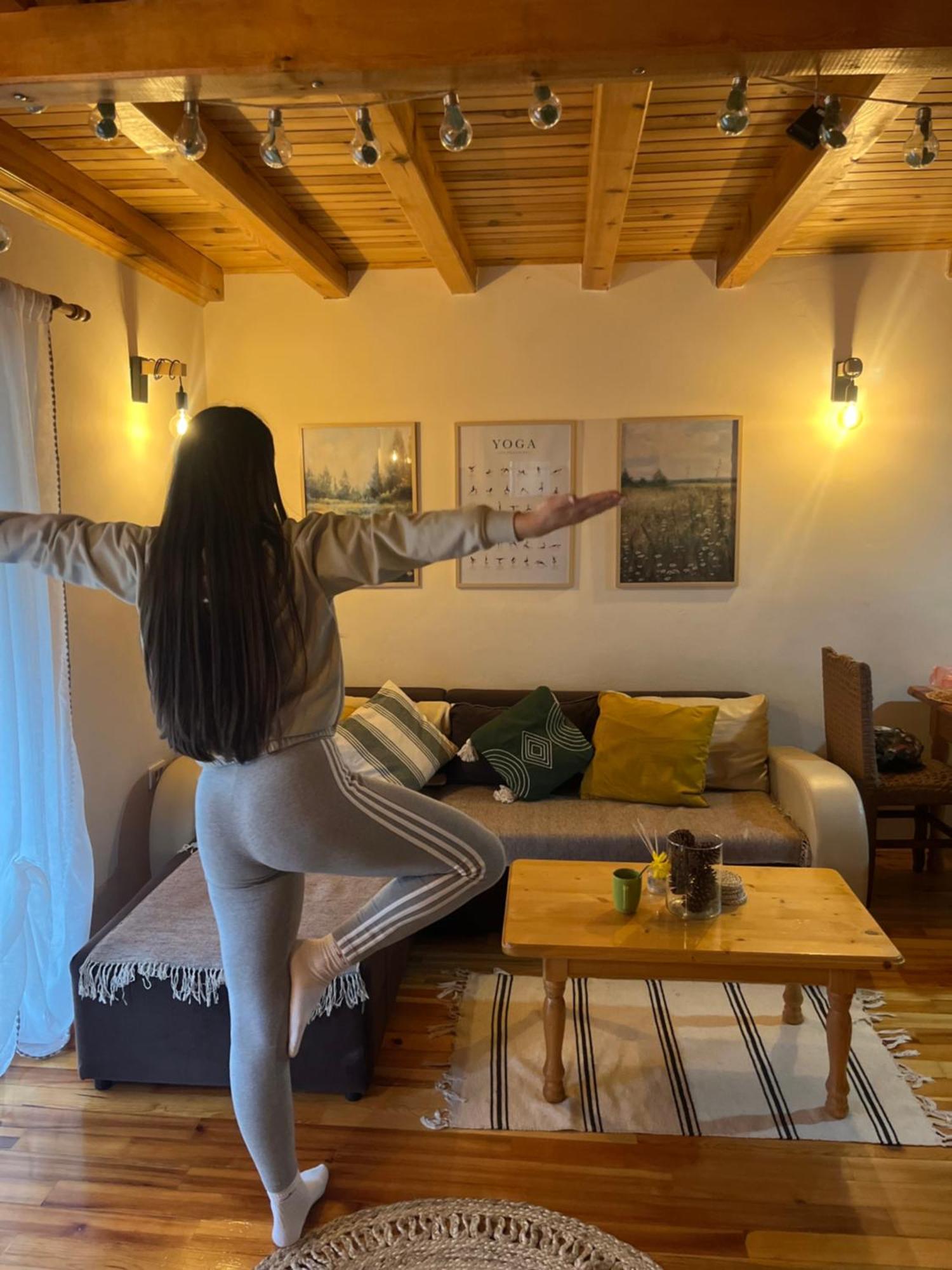 Adamov Apartment Lazici